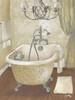 Guest Bathroom I Poster Print by Elizabeth Medley - Item # VARPDX8892