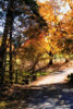 Autumn on Kent Farm III Poster Print by Alan Hausenflock - Item # VARPDXPSHSF955