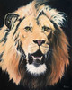 Lion Poster Print by  Vivien Rhyan - Item # VARPDX9716