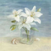 Lilies and Shells - Wag Poster Print by Danhui Nai - Item # VARPDX9392