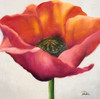 Poppy Flower I Poster Print by Patricia Pinto - Item # VARPDX6102 Poppy Flower I Poster Print by Patricia Pinto - Item # VARPDX6102