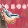 Hope Nuthatch Poster Print by Molly Reeves - Item # VARPDXRVS108