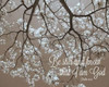 Be Still Poster Print by Gail Peck - Item # VARPDX9000K