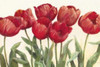 Ruby Tulips Wag Poster Print by Carol Rowan - Item # VARPDX8143