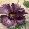 Purple Garden I Poster Print by Pamela Gladding - Item # VARPDXGLA597