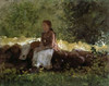 On The Fence Poster Print by  Winslow Homer - Item # VARPDX278027