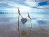 Heart tied up on wooden sticks at the beach Poster Print by  Assaf Frank - Item # VARPDXAF20120816174C01