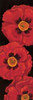 Bella Grande Poppies Poster Print by Paul Brent - Item # VARPDXBNT099