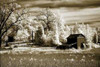 http://c328301.r1.cf1.rackcdn.com/PDXPSHSF504SMALL.jpg