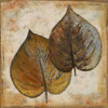 Natural Leaves I Poster Print by Patricia Pinto - Item # VARPDX7886