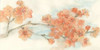Peach Blossom I Poster Print by Chis Paschke - Item # VARPDX21591
