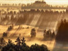 Fog impression at Sindelbachfilz, Bavaria, Germany Poster Print by  Frank Krahmer - Item # VARPDX3FK3181