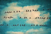 Together Again Poster Print by Gail Peck - Item # VARPDX9002B