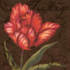 Tulipa I Poster Print by Jillian Jeffrey - Item # VARPDXJFY065