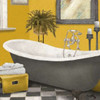 Sunny Bath II Poster Print by Elizabeth Medley - Item # VARPDX8295J