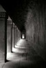 Ta Prohm Walkway BW Poster Print by Erin Berzel - Item # VARPDXPSBZL655