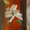 Lily in Bloom I Poster Print by Lanie Loreth - Item # VARPDX6317