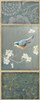 Nuthatch - Wag Poster Print by Danhui Nai - Item # VARPDX5281
