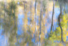 Tree Reflections I Poster Print by Kathy Mahan - Item # VARPDXPSMHN247