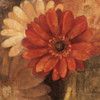 Bold Gerberas III Poster Print by Albena Hristova - Item # VARPDX3000