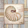 Beach Shell III Poster Print by Elizabeth Medley - Item # VARPDX9341