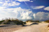 Summer Dunes I Poster Print by Alan Hausenflock - Item # VARPDXPSHSF1123