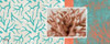 Aquamarine II Poster Print by Elizabeth Medley - Item # VARPDX8369A