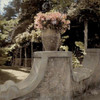 Giardini Italiano - 8 Poster Print by Alan Blaustein - Item # VARPDXABITC863