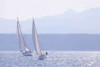 Port Townsend Boats I Poster Print by Kathy Mahan - Item # VARPDXPSMHN128