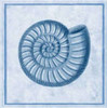 Blue Nautilus A Poster Print by Sarah E Chilton - Item # VARPDXCC2493A