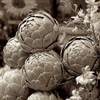 Marketplace - 21 Poster Print by Alan Blaustein - Item # VARPDXABITF10