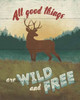 Discover the Wild II Poster Print by Janelle Penner - Item # VARPDX21358