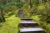 Steps II Poster Print by Brian Moore - Item # VARPDXPSMRE125