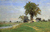 Old Elm at Medfield Poster Print by  George Inness - Item # VARPDX278068
