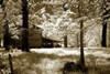 http://c328301.r1.cf1.rackcdn.com/PDXPSHSF507LARGE.jpg