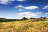Big Meadow II Poster Print by Alan Hausenflock - Item # VARPDXPSHSF432