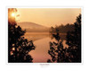 Beautiful Day Poster Print by Gail Peck - Item # VARPDX9799