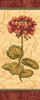 Red Passion Geranium Poster Print by Charlene Audrey - Item # VARPDXAUD095