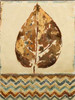 Chevron Leaf I Poster Print by Patricia Pinto - Item # VARPDX9957