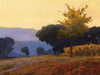 Meadow Poster Print by Kent Lovelace - Item # VARPDXLKP126