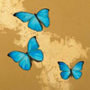 Cerulean Butterfly II Poster Print by Joanna Charlotte - Item # VARPDXCJP508