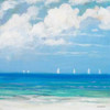 Seaside II Poster Print by Dan Meneely - Item # VARPDX9499
