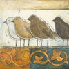 Birds on Damask I Poster Print by Patricia Pinto - Item # VARPDX8404