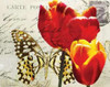 Carte Postale Tulip II Poster Print by Amy Melious - Item # VARPDXMEL471