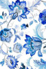 Capri Floral I Poster Print by Lanie Loreth - Item # VARPDX9494KK