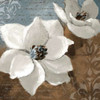 White Magnolias I Poster Print by Lanie Loreth - Item # VARPDX7000F