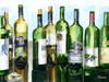 BandG Bottles II Poster Print by  Heather A. French-Roussia - Item # VARPDX9647