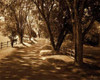 http://c328301.r1.cf1.rackcdn.com/PDXPSHSF111SMALL.jpg