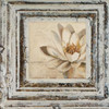 Flowers and Leaves Square IV Poster Print by Patricia Pinto - Item # VARPDX6469B