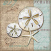 Linen Shells II Poster Print by Paul Brent - Item # VARPDXBNT509